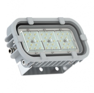 Светодиодный светильник FWL 31-21-850-C120